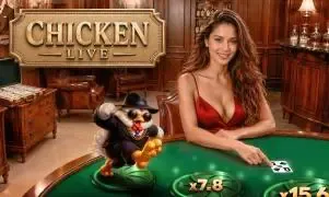 Chicken Live - Slotpesa - Tanzania
