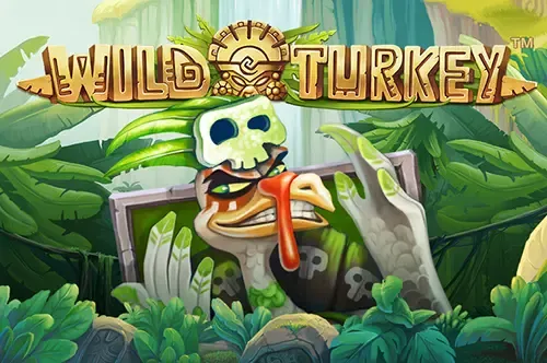 Wild Turkey - Slotpesa - Tanzania